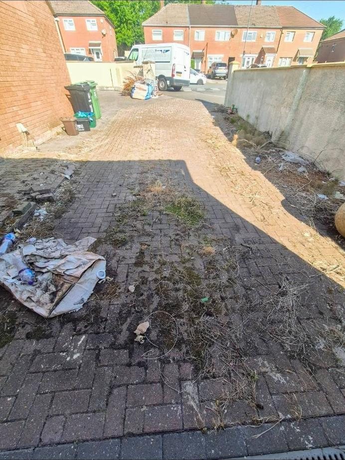 Overgrown block-paved driveway before cleaning