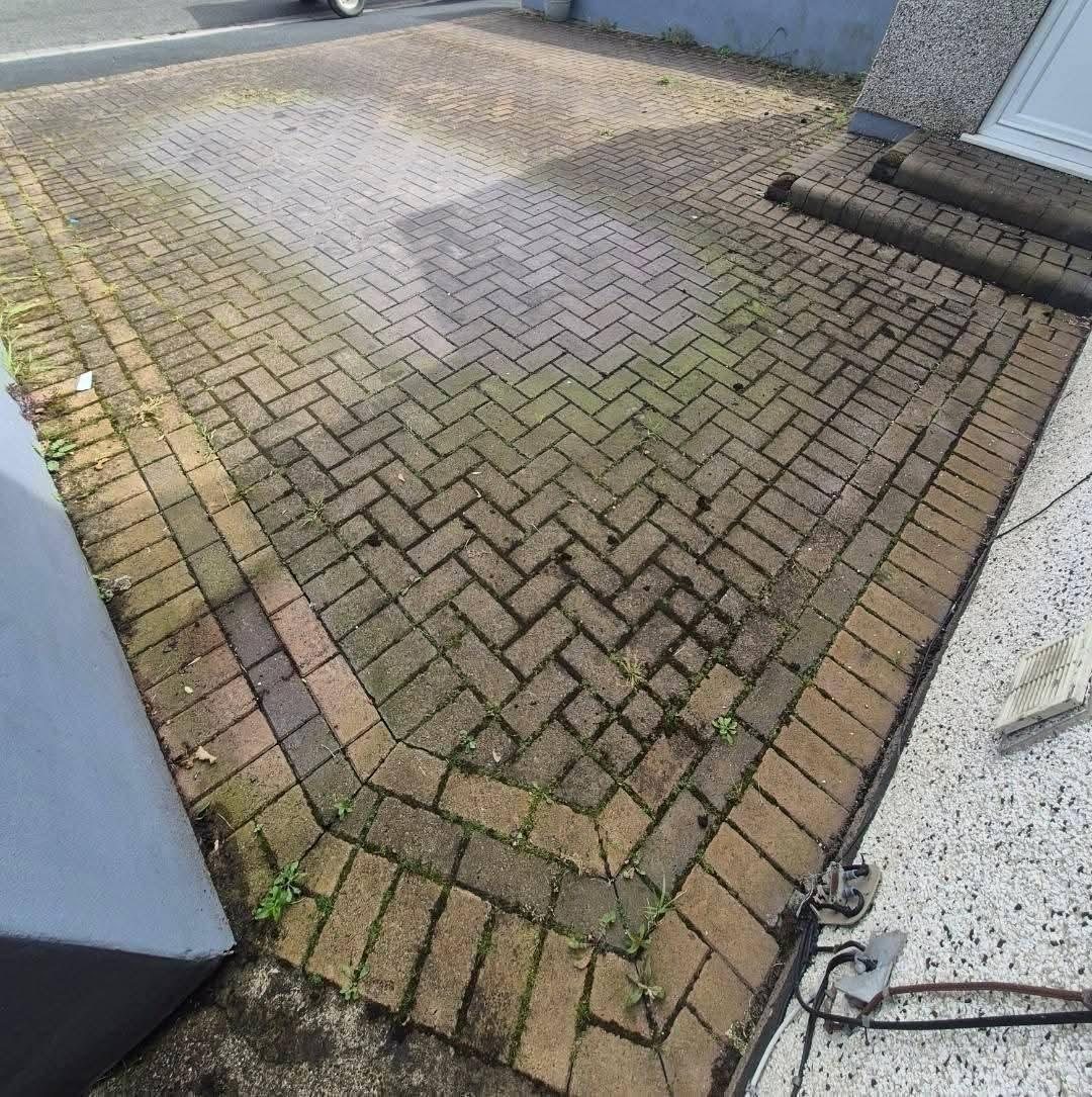 Mossy herringbone driveway before cleaning